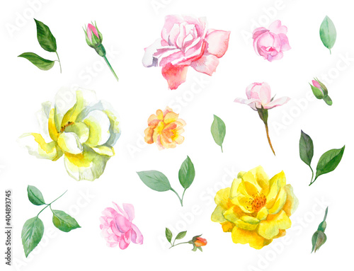 Watercolor flowers and leaves hand painted set with pink  white and yellow flowers  buds and green branches with leaves