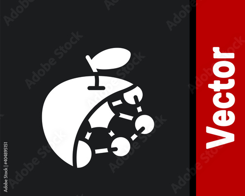 White Biological structure icon isolated on black background. Genetically modified organism and food. Vector.
