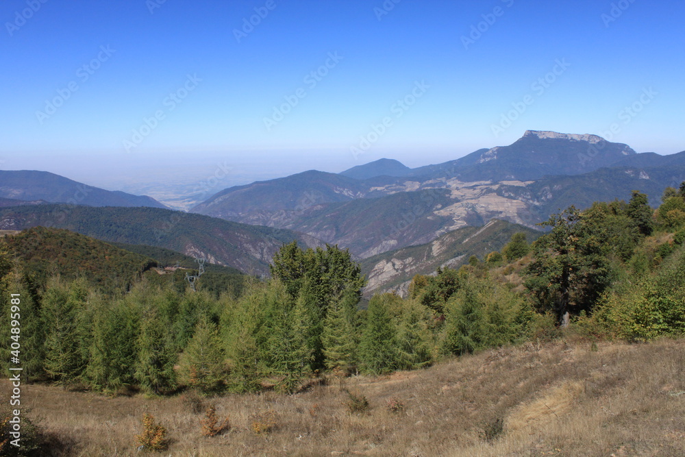 Caspian Hyrcanian mixed forests