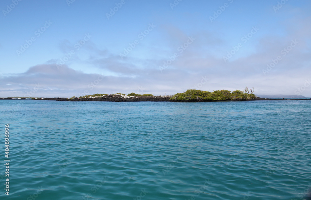 Characteristic landscape in the Galapagos Islands Characteristic landscape in the Galapagos Islands