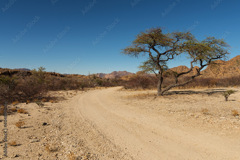 dirt road in a beautiful landscape, Namibia