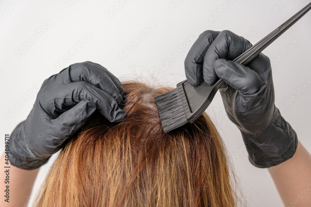 Fototapeta premium Woman dyeing hair roots using a brush. Dyeing of gray roots of hair having a complex hair coloring or balayage at home.
