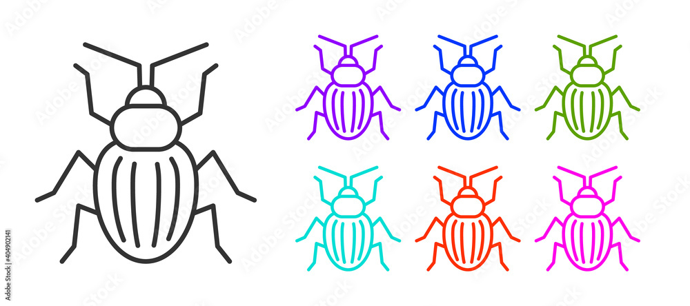 Black line Chafer beetle icon isolated on white background. Set icons colorful. Vector.
