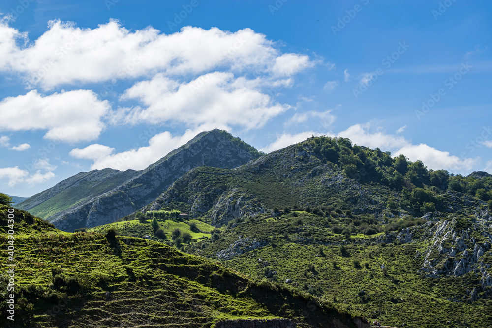 View of the beautiful mountains of the Picos de Europa, on the way up to the Lakes of Covadonga. Photograph taken in Asturias, Spain.