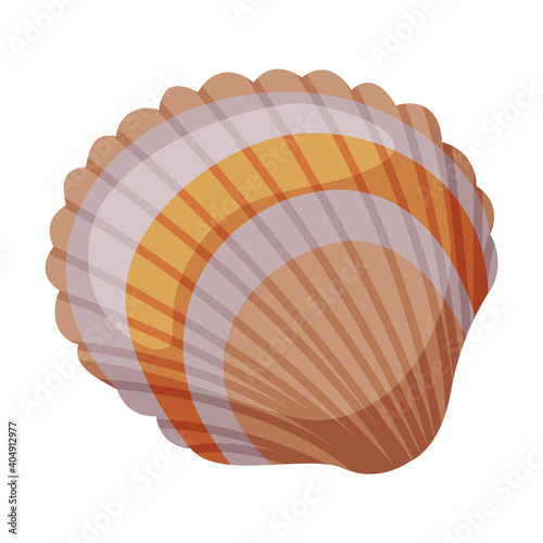 Seashell as Travel and Tourism Attribute Vector Illustration