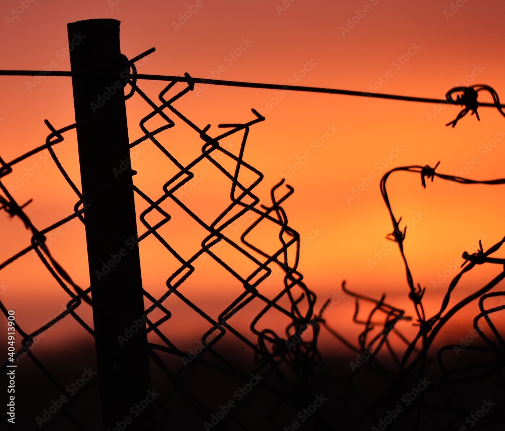 barbed wire fence - obrazy, fototapety, plakaty 