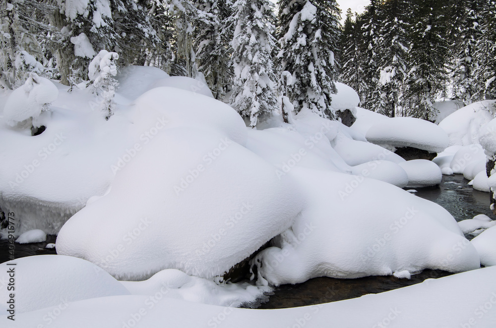 Winter in a snowy forest Winter in a snowy forest