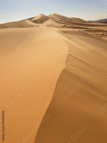 Sand edges on desert sand of North Africa Bechar Algeria  sandy Taghit desert