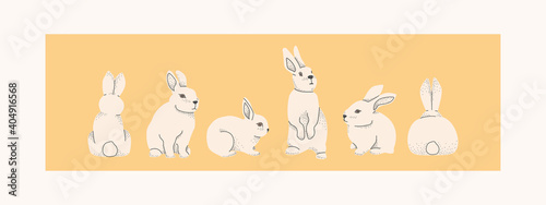 Fototapeta Naklejka Na Ścianę i Meble -  Rabbits, hares or Easter bunnies. In different poses and different angles. Vector decorative illustration.