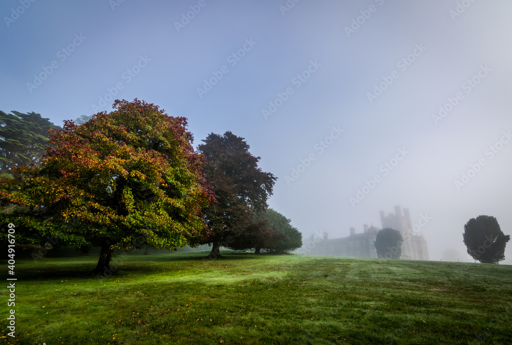 A wide angle shot of an old castle in the autumn morning mist in Ireland
