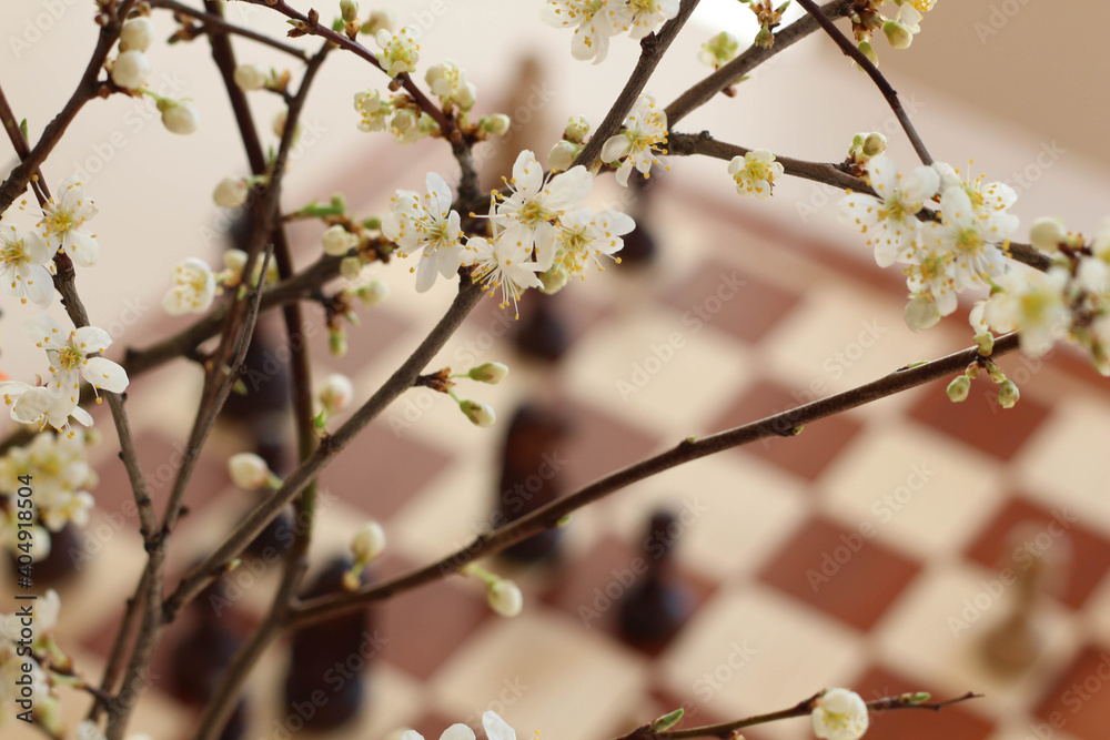 Branch in blossom. Chess board background. Chess pieces. Plum. Branch in blossom. Chess board background. Chess pieces. Plum.