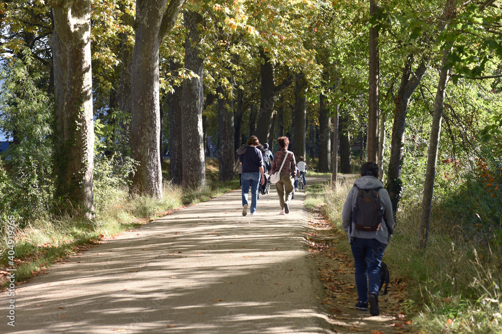 Promenade au bord du canal du Midi Toulouse Promenade au bord du canal du Midi Toulouse