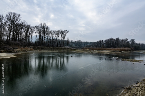 winter in a riverside forest in the austrian national park donauauen near stopfenreuth, lower austria photo