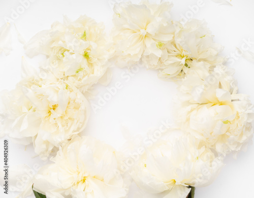 frame of gentle peony background