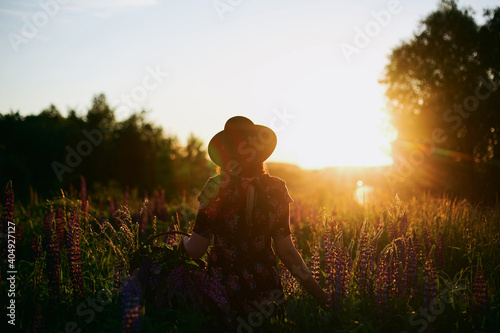 Silhouette of woman gathering lupine in sunset light in countryside field. Atmospheric moment