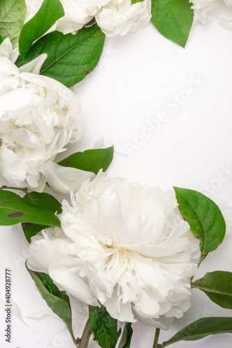 gentle floral frame of white peony