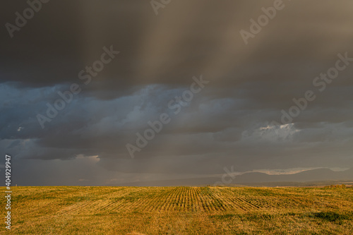 Storm on the field. 