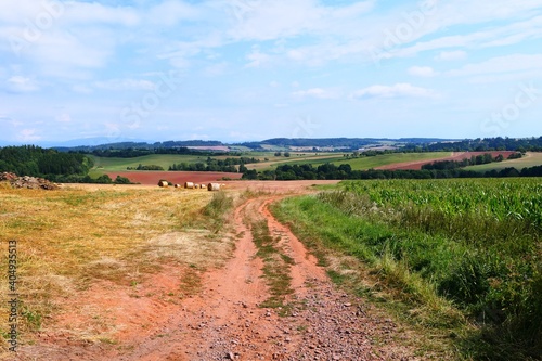 Road between field and meadow. Summer day.