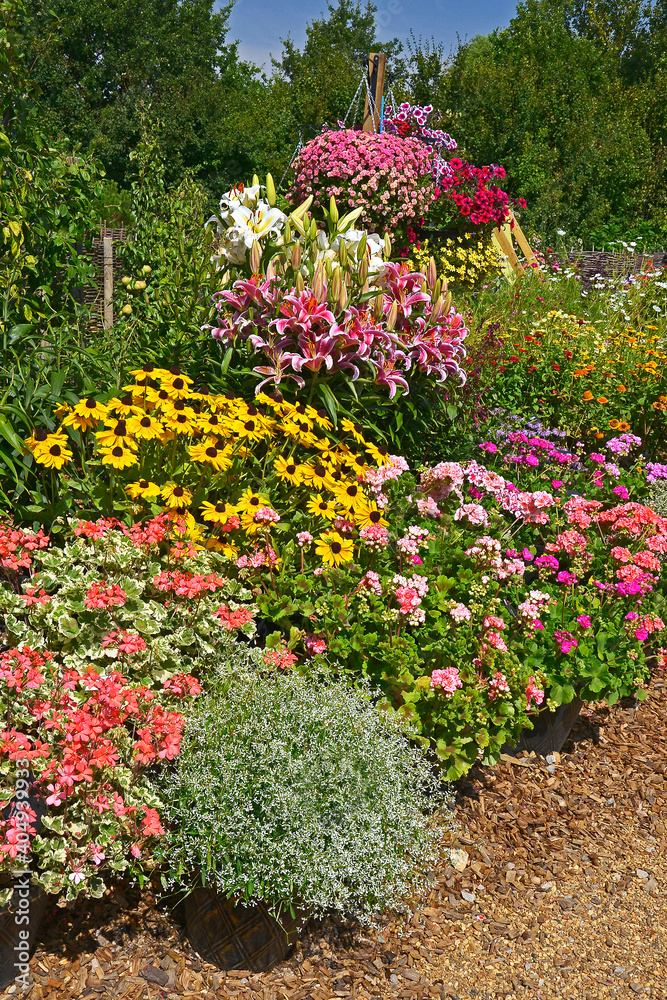 A colourful well planted flower border with mixed planting A colourful well planted flower border with mixed planting