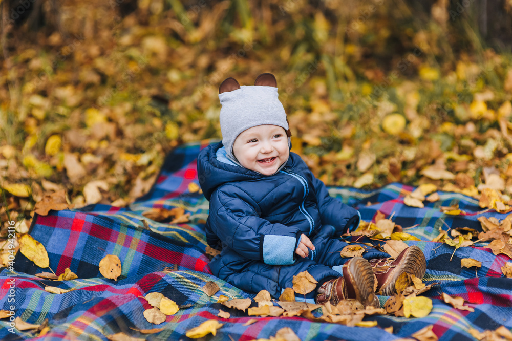 A small smiling and cute baby in a blue overalls and in a warm hat sits on a plaid blanket against a background of yellow leaves in autumn. Portrait of a cute boy. A small smiling and cute baby in a blue overalls and in a warm hat sits on a plaid blanket against a background of yellow leaves in autumn. Portrait of a cute boy.