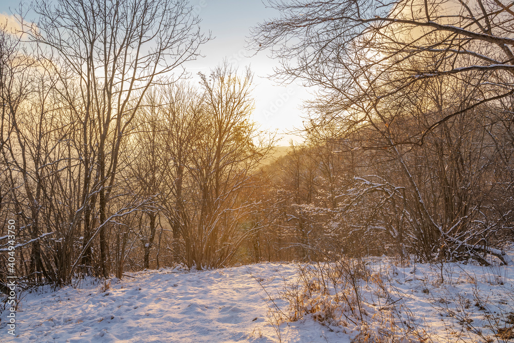 Fototapeta W zimie zachód słońca w lesie. Słońce zachodzi za górą w tle.