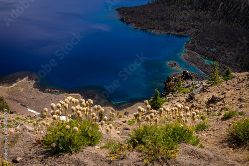 This is a close up view of an inlet of Crater Lake in Oregon, with wildflowers dotting the cliff.