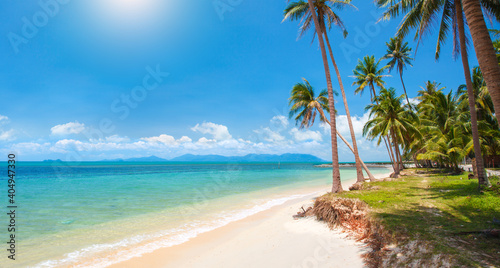 Fototapeta Naklejka Na Ścianę i Meble -  tropical beach with coconut palm tree