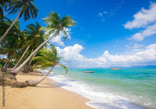 Fototapeta Naklejka Na Ścianę i Meble -  tropical beach with coconut palm tree