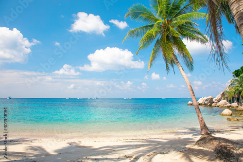 Fototapeta Naklejka Na Ścianę i Meble -  tropical beach with coconut palm tree