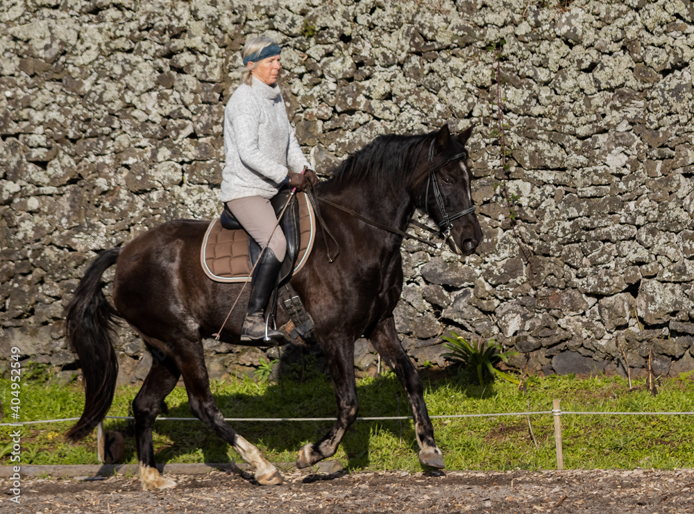 Fototapeta premium Woman riding a black Lusitano horse outdoors, good weather, Azores.