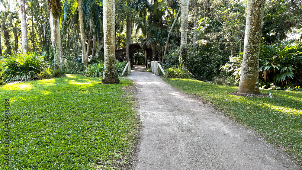 A curved rock walking trail through a tropical botanical garden