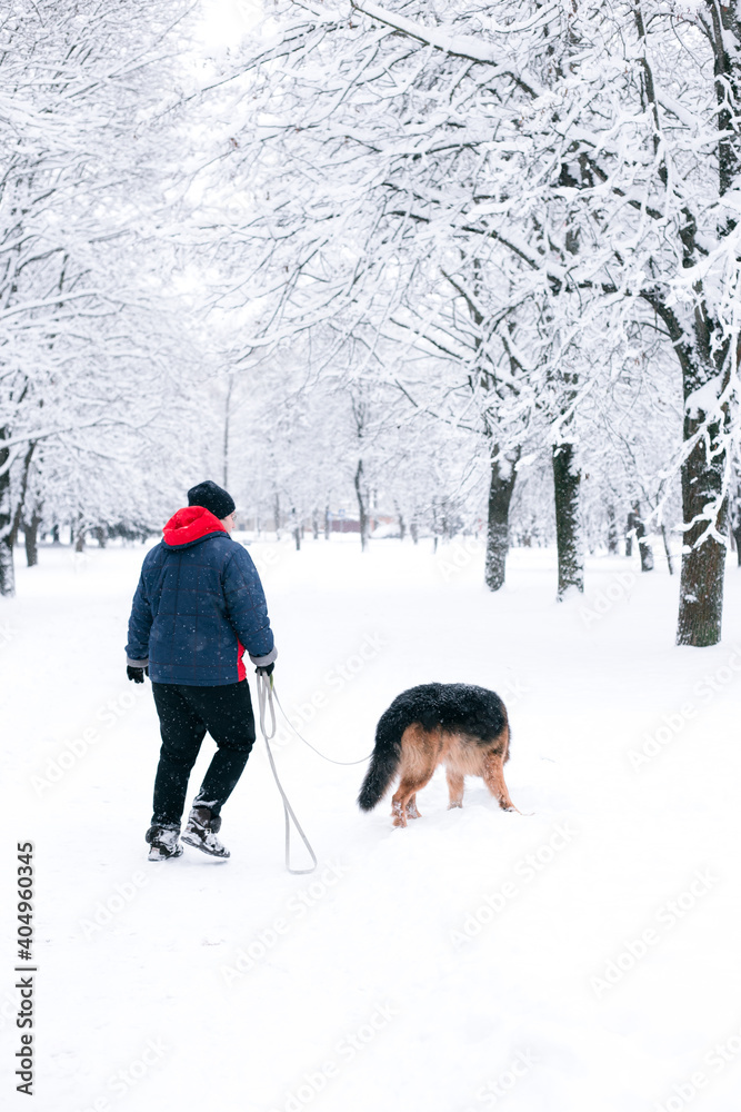 A man walks a German shepherd in a snowy park