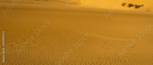  Golden sands in the vast desert of Algeria  a very beautiful and relaxing landscape