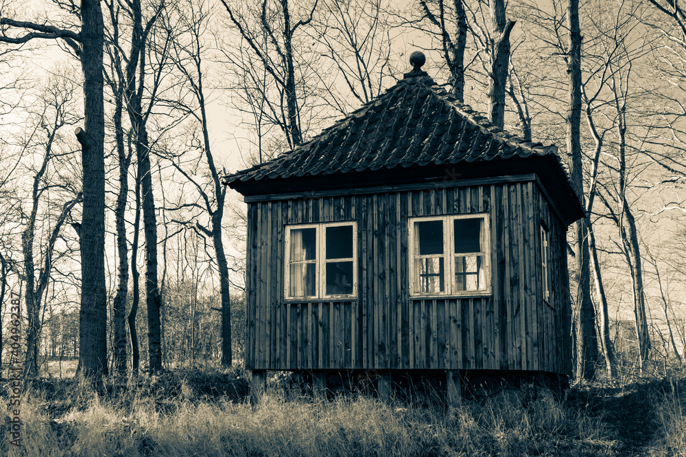 Obraz premium old house in the woods