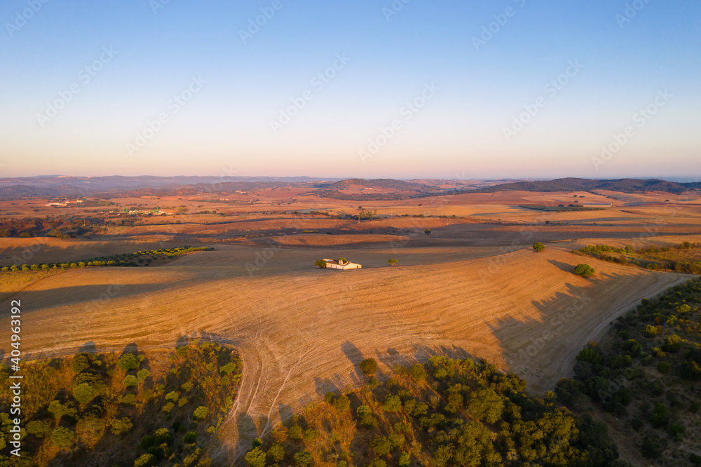 Alentejo brown landscape with trees drone aerial panorama at sunrise, in Portugal