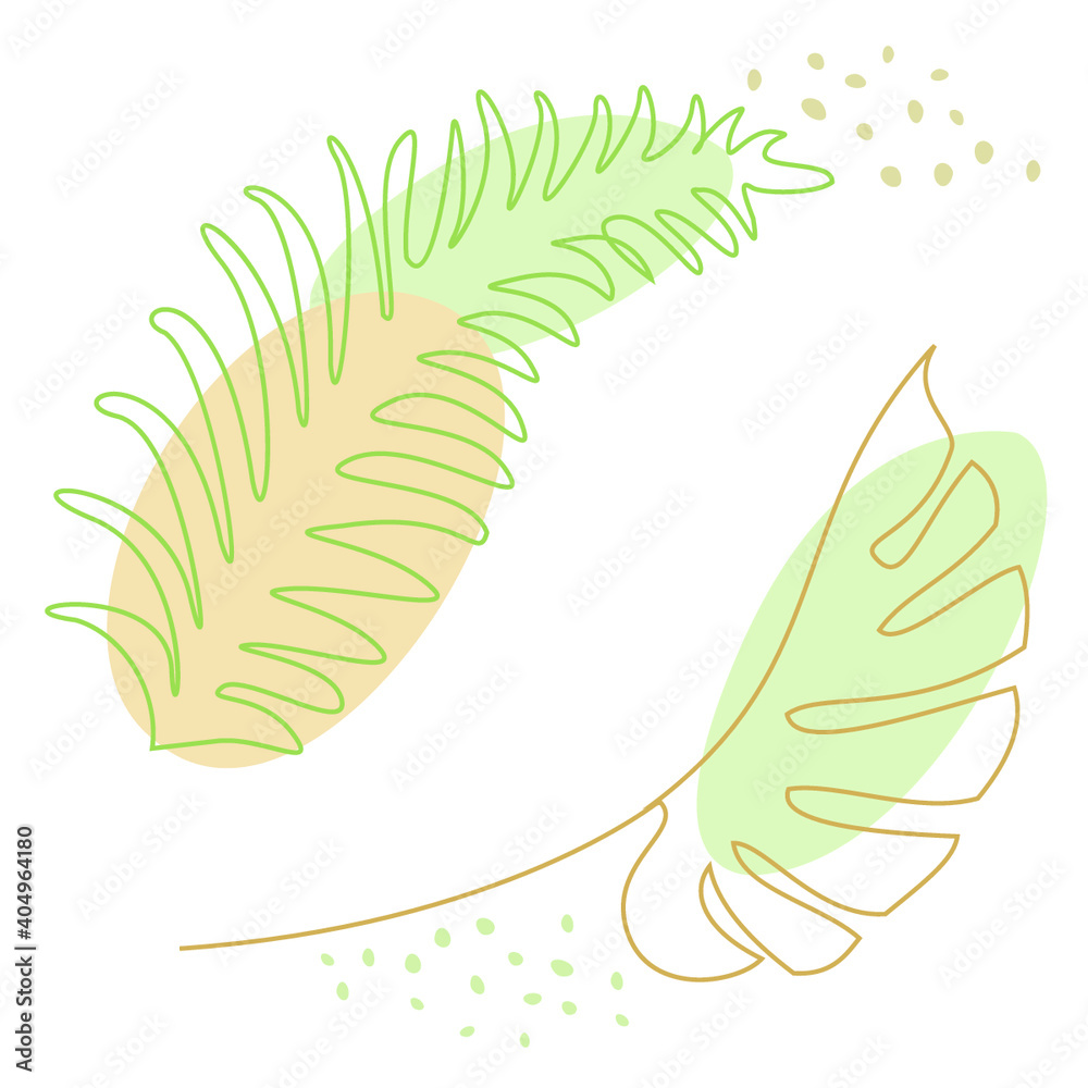 Vegetable background. Green leaves of monstera and fern. Vector illustration.