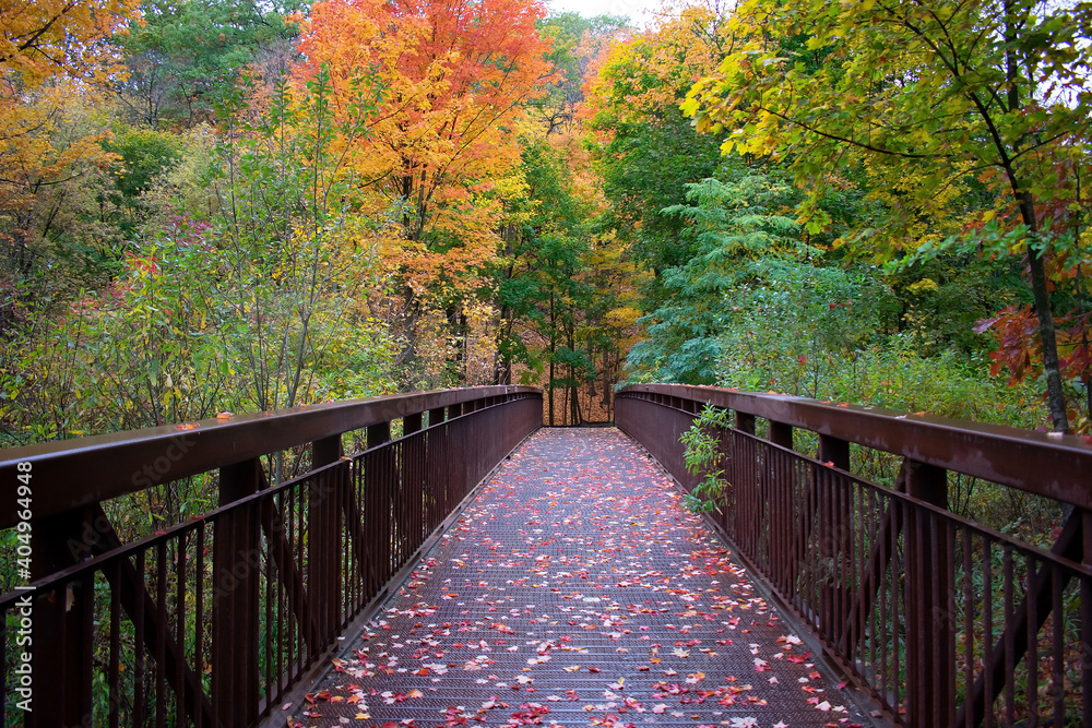 Ταπετσαρία Pedestrian Bridge in the Autumn season at Moore Ravine Park in midtown Toronto