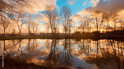 Reflection of trees on water in lake, winter time, weather, park in Hoogvliet, the Netherland © tselykh