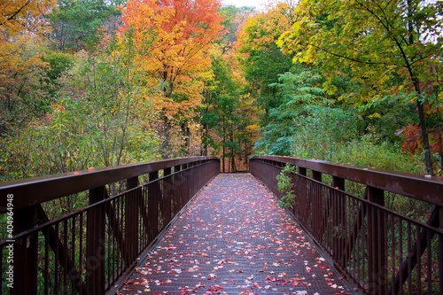 Pedestrian Bridge in the Autumn season at Moore Ravine Park in midtown Toronto