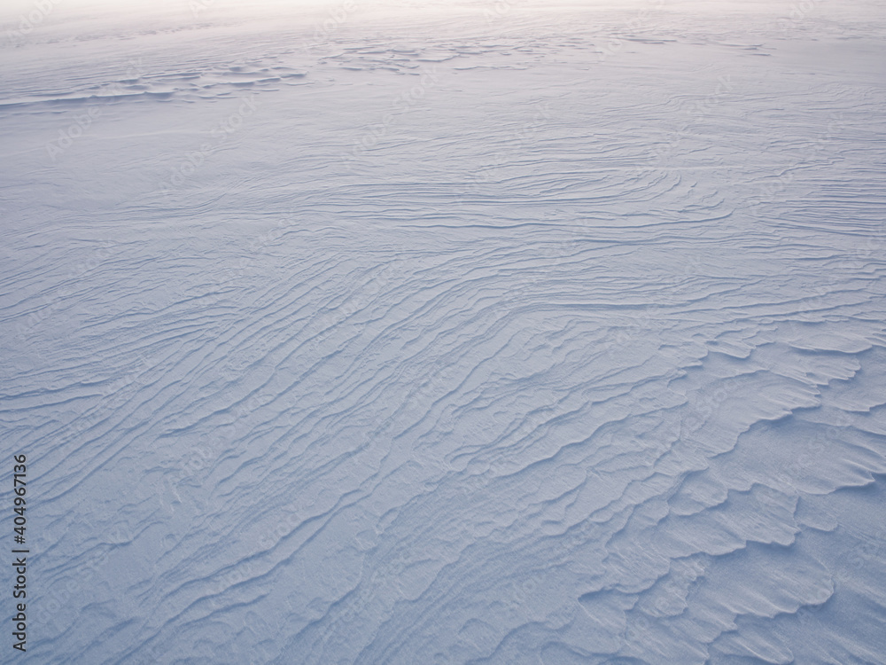 雪原 雪原