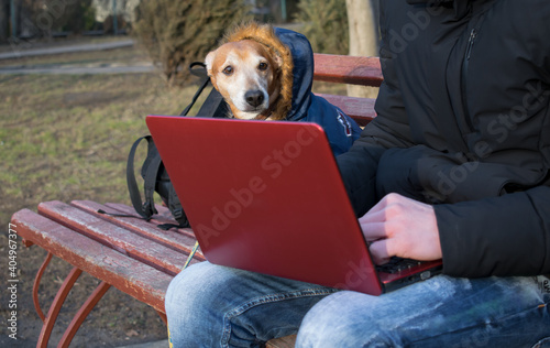 A man with a laptop and a dog are sitting on a bench outdoor