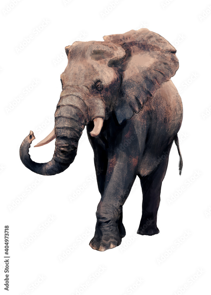 Realistic image of an African elephant. Digital drawing. Large male.