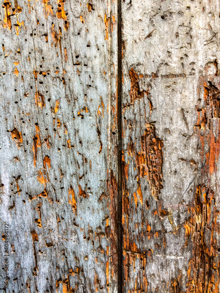 wood wall texture that forms a collage with old, torn, scratched and weathered posters and advertising