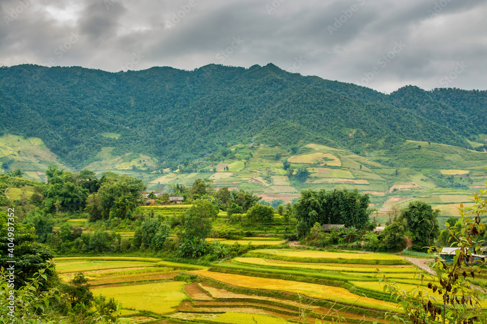 Scenery taken in Tua Chua district, Dien Bien province, Vietnam