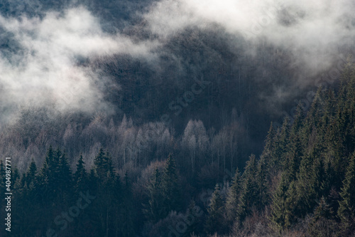misty landscape with fir forest in hipster vintage retro style © Melinda Nagy