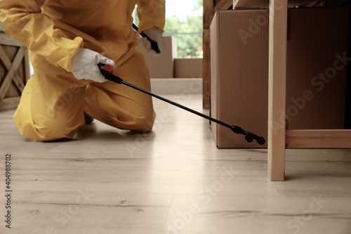 Pest control worker spraying pesticide indoors, closeup
