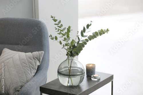 Vase with fresh eucalyptus branches on table in living room. Interior design