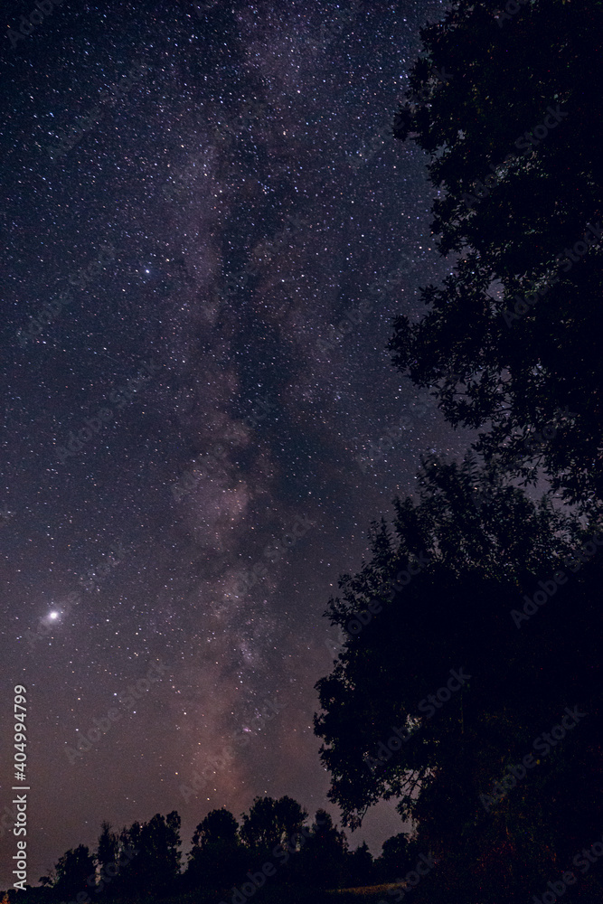 milky way in trees