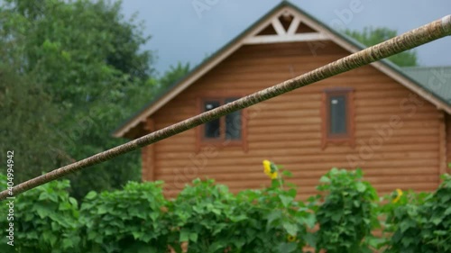 Hutsul with musical wind instrument. Man with trembita in Carpathian mountains. Ukrainian musical instrument made of wood. photo