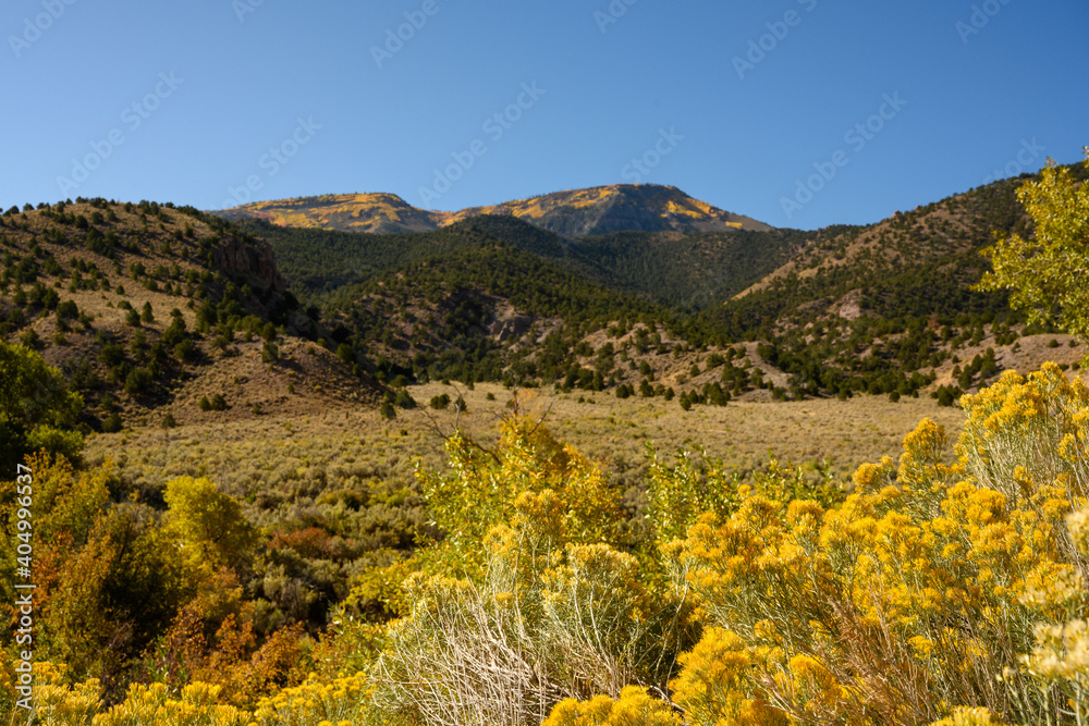 Fall Colors Creep Into Southern Utah